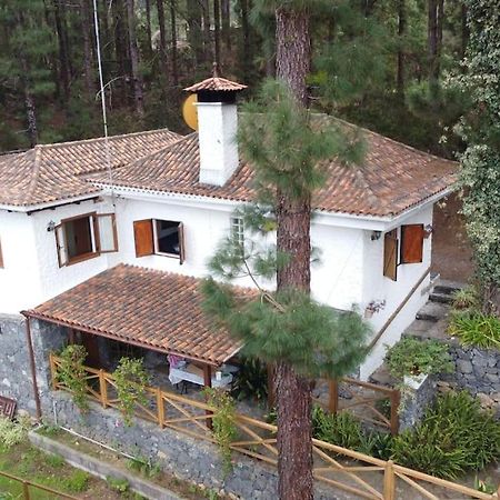 Vila Floral Garden House Icod De Los Vinos Exteriér fotografie
