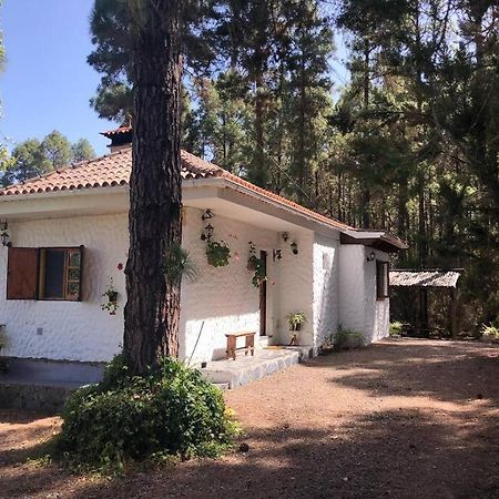 Vila Floral Garden House Icod De Los Vinos Exteriér fotografie