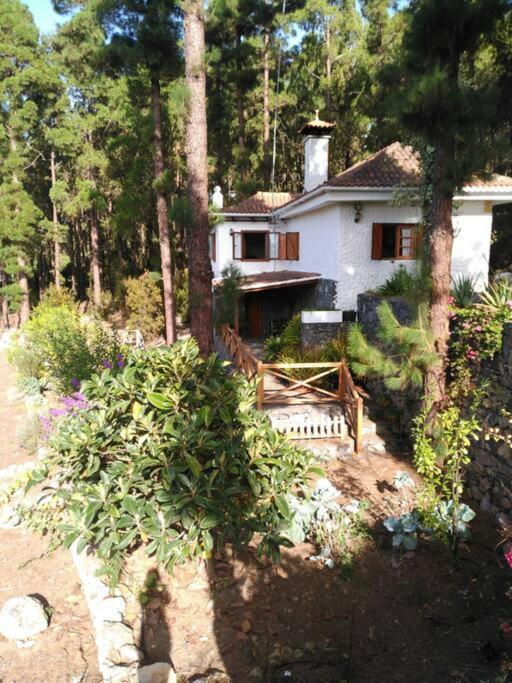 Vila Floral Garden House Icod De Los Vinos Exteriér fotografie