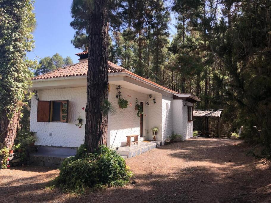 Vila Floral Garden House Icod De Los Vinos Exteriér fotografie
